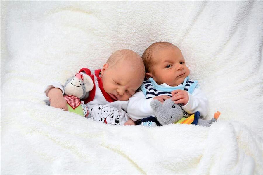 Baby Lena and Leon lying next to each other in a blanket with their cuddly toys.