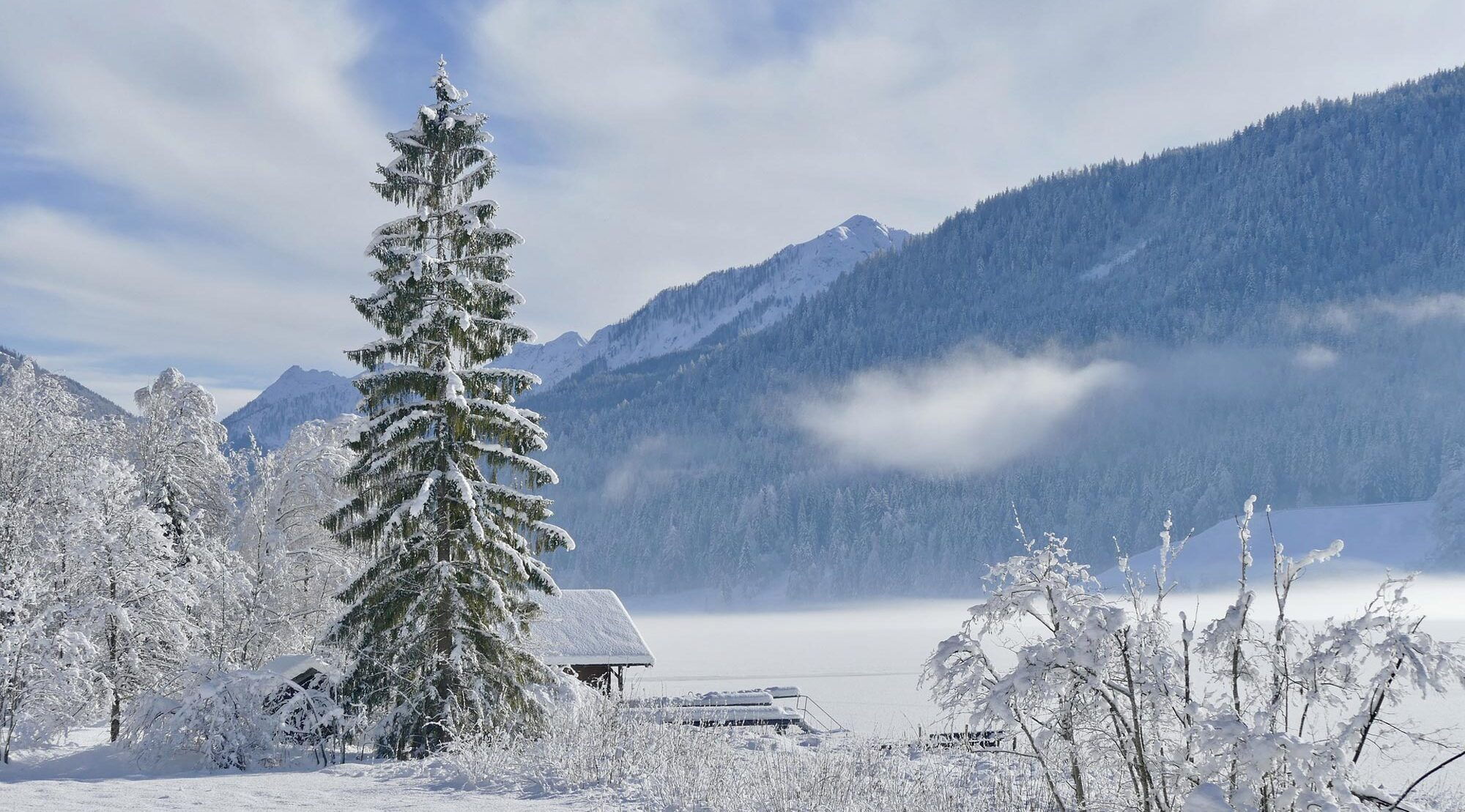 Winterlandschaft mit schneebedeckten Bäumen und Bergen unter blauem Himmel in Bad Kleinkirchheim