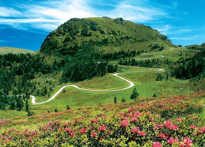 Berglandschaft mit einer kurvenreichen Straße und blühenden Wildblumen unter blauem Himmel