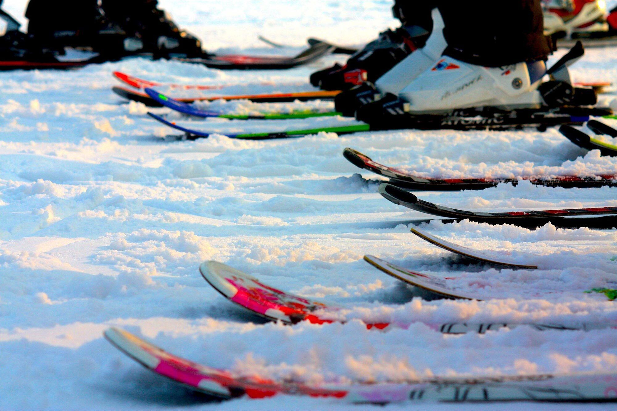 Lots of different coloured skis in the powdery snow of the ski slopes
