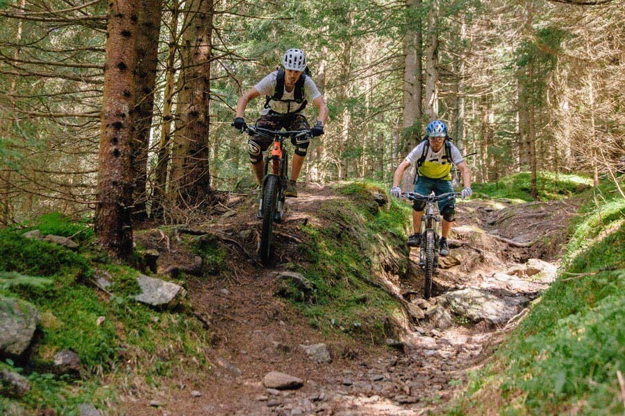 Zwei Mountainbiker fahren auf einem steinigen Waldweg umgeben von Bäumen und Grün.