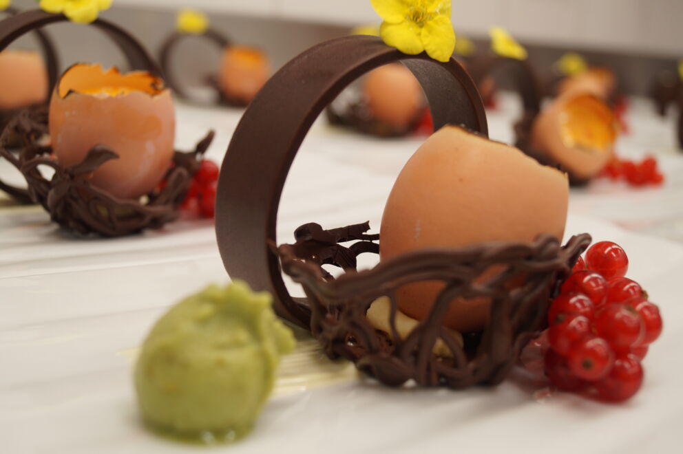 Ein kunstvolles Dessert mit Schokoladendekoration und roten Johannisbeeren auf einem Teller.