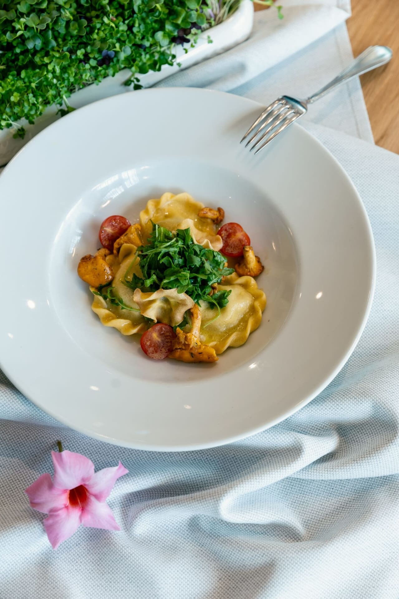 Ein elegantes Pastagericht mit Pilzen, Kirschtomaten und Rucola auf weißem Tischtuch.