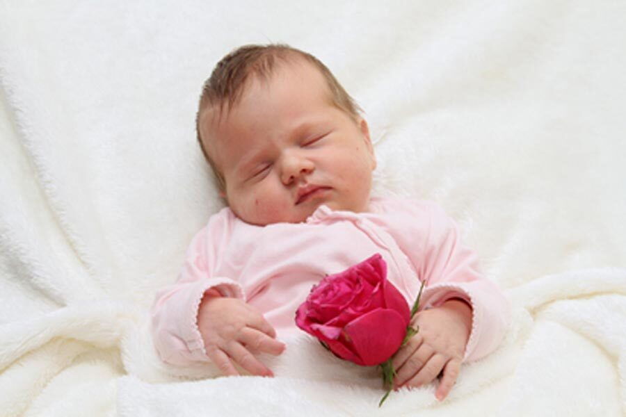 La piccola Johanna tiene in mano una rosa rosa e dorme.