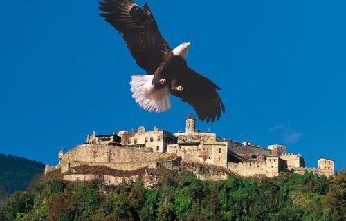 Ein majestätischer Adler schwebt über einer historischen Burg inmitten grüner Landschaften.