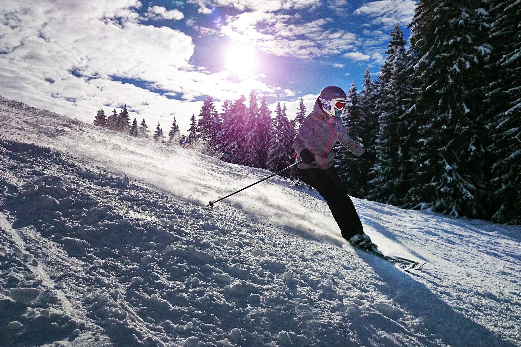 Person auf der Piste, umgeben von schneebedeckten Tannen unter klarem Himmel beim Skifahren