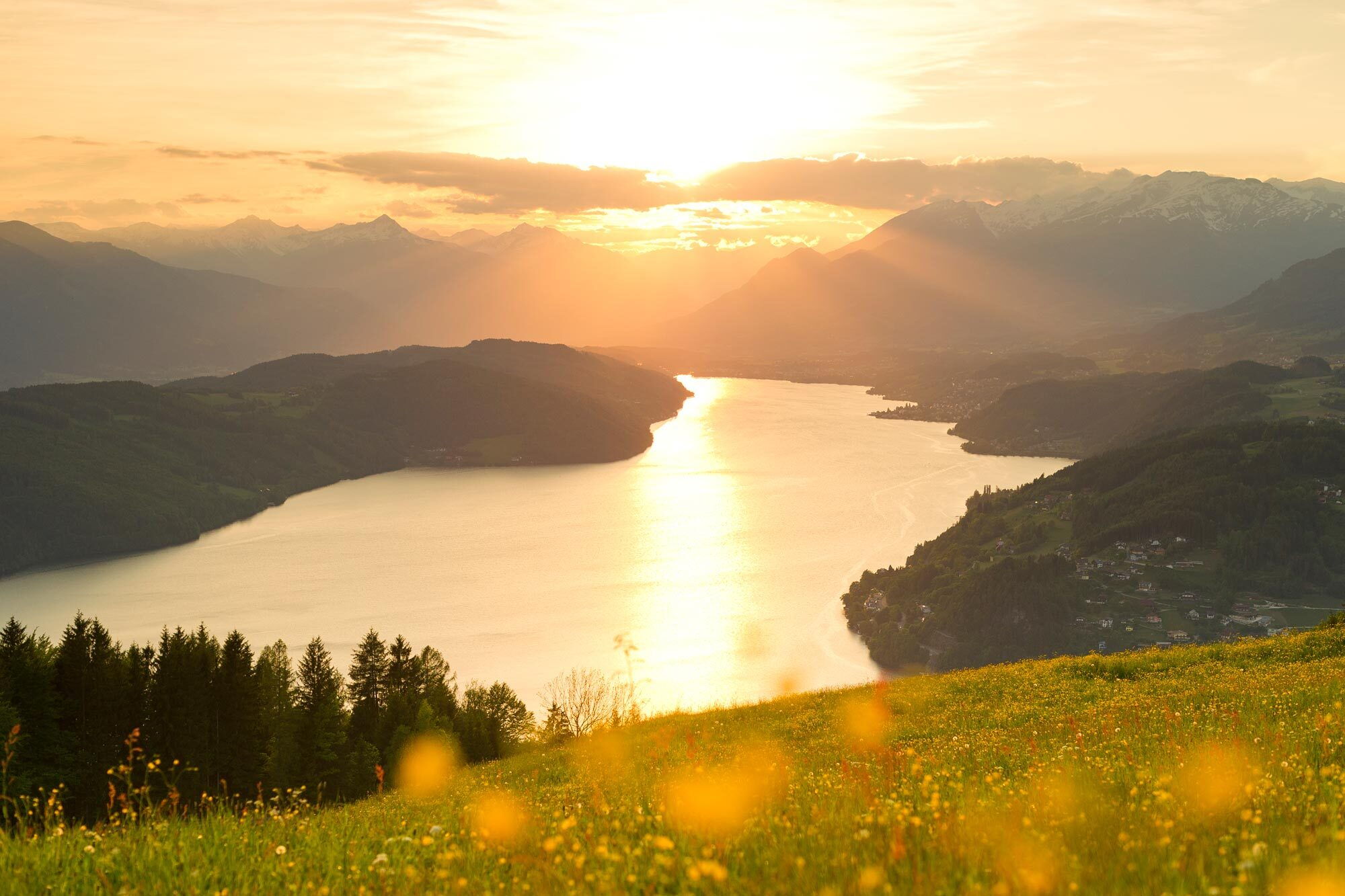 Ein ruhiger See umgeben von Bergen bei Sonnenuntergang mit blühenden Blumen im Vordergrund.